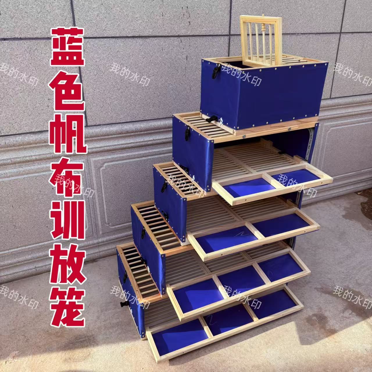 训放笼塑料笼直销包邮信鸽笼图片