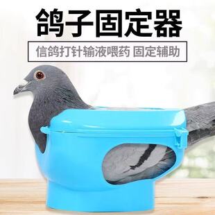 包邮信鸽打针固定架赛鸽固定盒/幼鸽喂药器/鹦鹉/打疫苗食槽水槽