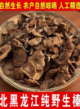 榛蘑东北野生榛蘑新货野生蘑菇晒干农家东北榛蘑野蘑菇新鲜正宗