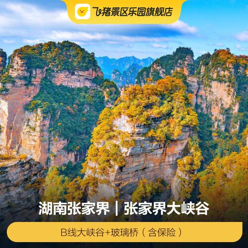 [张家界大峡谷-B线大峡谷+玻璃桥（含保险）]张家界大峡谷
