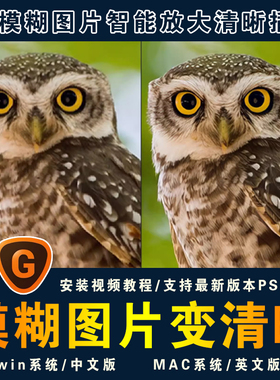 Ai人工智能图片无损放大修复Topaz Gigapixel AI 自动模糊变清晰