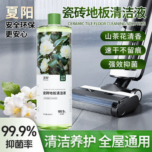 夏阳山茶花瓷砖地板光亮清洁养护