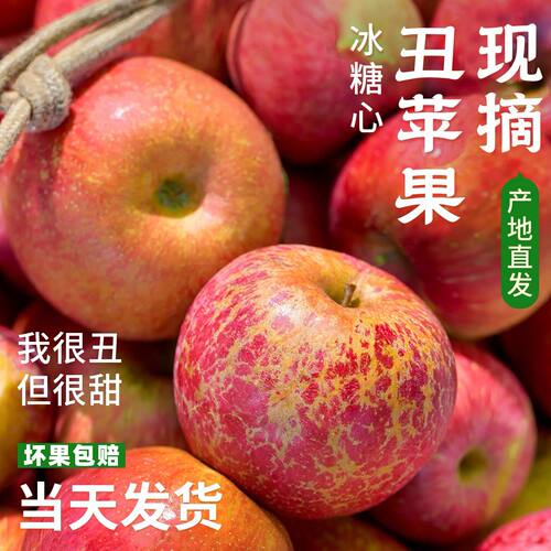 新鲜大凉山丑苹果10斤冰糖心苹果水果当季整箱现摘盐源四川红富士