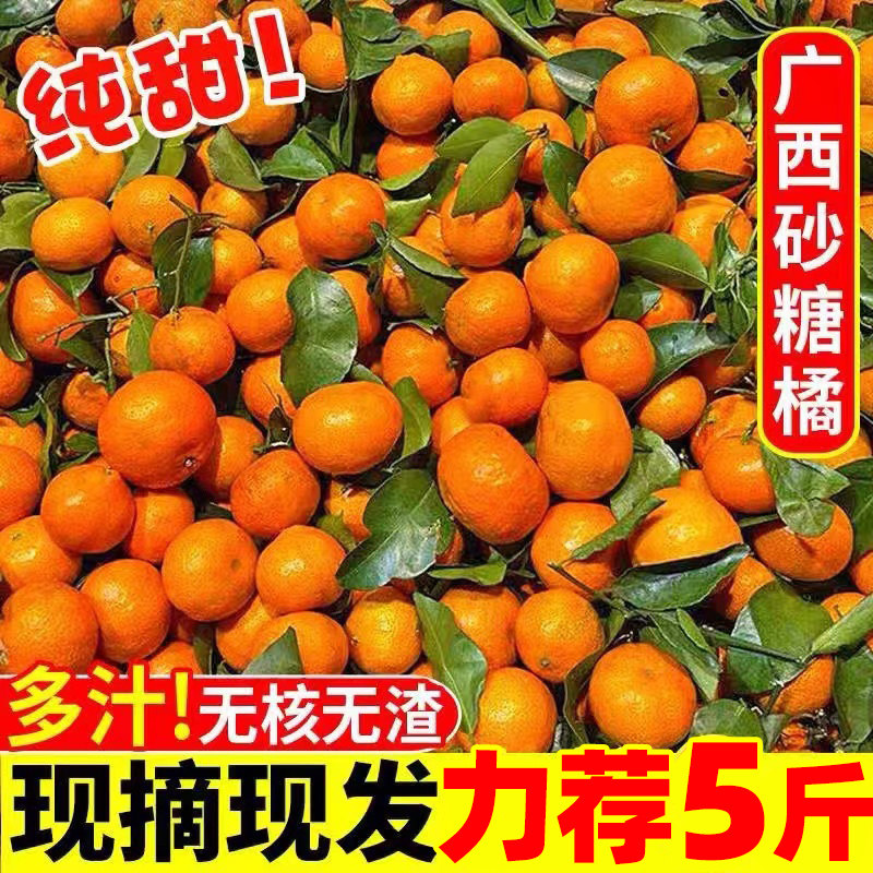 广西正宗砂糖橘5斤整箱包邮新鲜水果当季砂糖桔蜜橘桔子时令水果