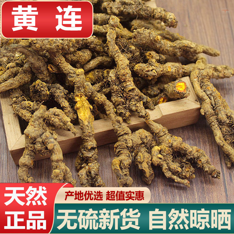 黄连中药材野生新货川连正品黄莲片整个鸡爪黄连250g克磨黄连粉