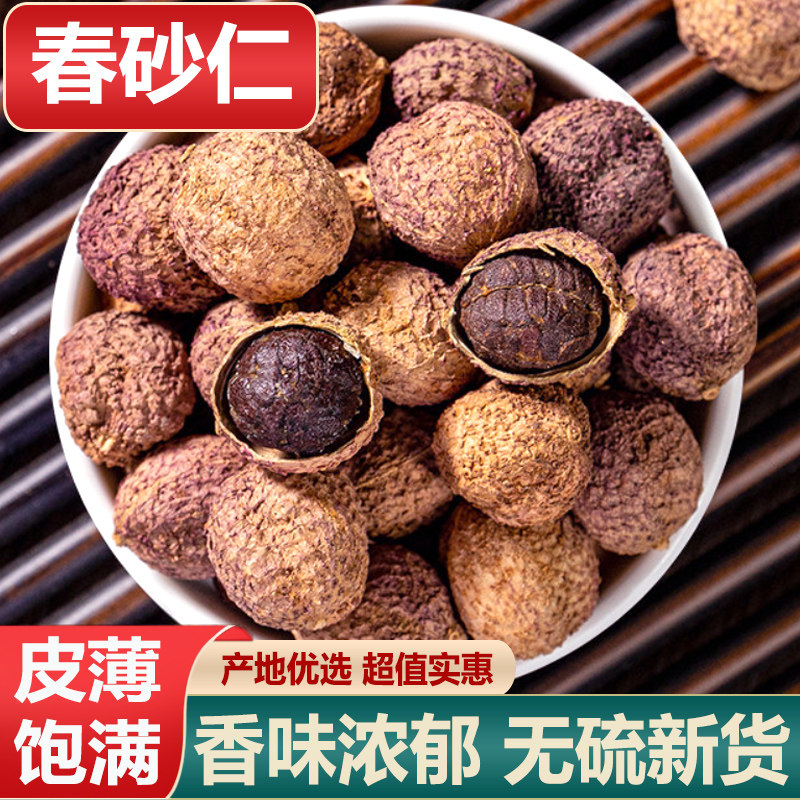 砂仁煲汤新货阳春砂仁颗粒饱满图片