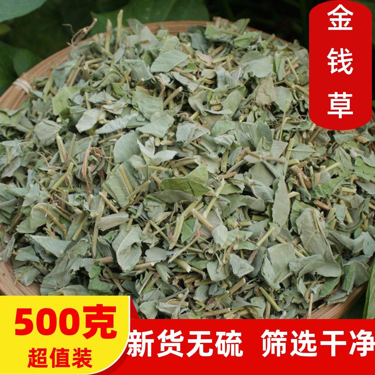 野生金钱草新货无硫筛选优质正品
