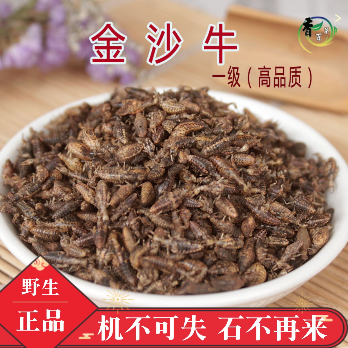 中药材正品金沙牛10克新货无沙蚁狮金砂牛地牯牛砂牛虫干品金沙牛