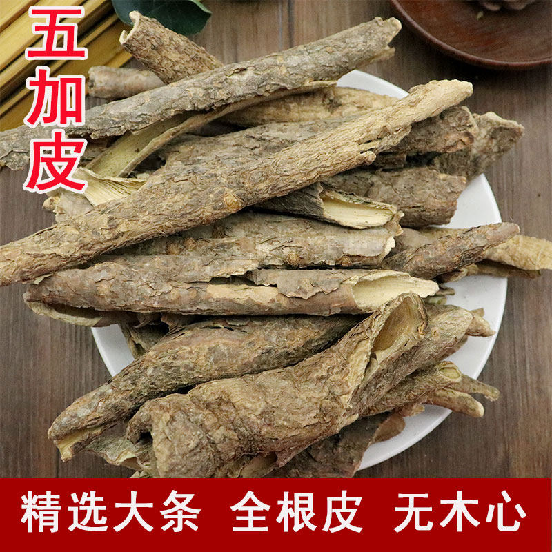 五加皮中药材新货野生北五加皮非南五加精选粗根香五加皮500克