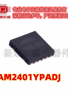 PAM2401YPADJ DC-DC电源芯片 UDFN3030-12 全新原装美台