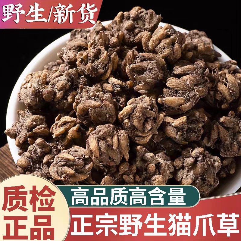 泽永堂猫爪草野生新鲜正品猫抓草水洗猫爪草精选500克包邮