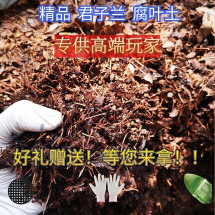 君子兰专用土腐叶土营养土橡树叶棹树腐熟树叶松针东北营养土高端