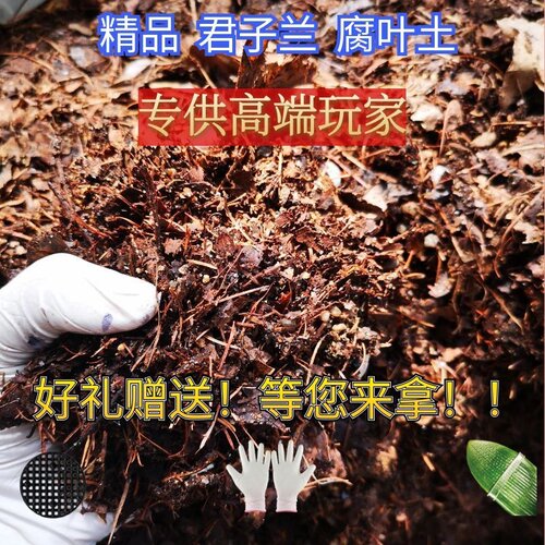 君子兰专用有机营养土东北高端