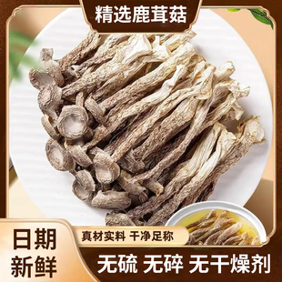 鹿茸菇干货500g特级鹿茸菌云南食用菌香菇脆脆菇煲汤食材产地直销