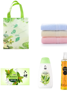 六神龙虎花露水防暑降温套装 夏季员工地送清凉高温慰问劳防用品