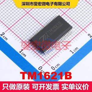 TM1621B SSOP-48-300mil 显示驱动器 电源管理 集成芯片IC