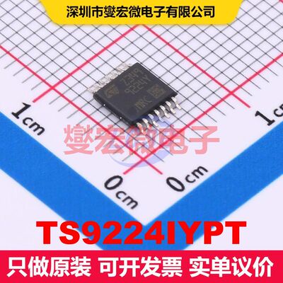 TS9224IYPT TSSOP-14 线性放大器 线性 集成芯片IC