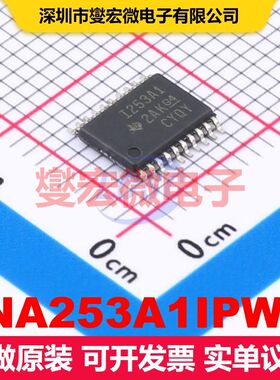 INA253A1IPWR TSSOP-20 线性放大器 线性 集成芯片IC