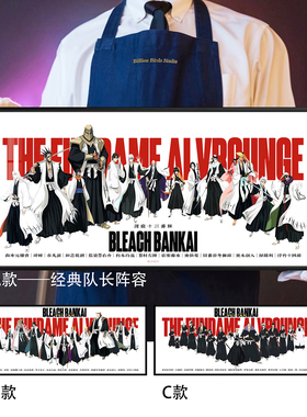 死神护庭十三番队BLEACH蓝染惣右介日番谷鼠标垫装饰画