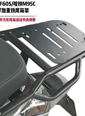 金箭F60S电动车哈铃M95铁尾架尾箱支架外卖货架后备箱改装后衣架