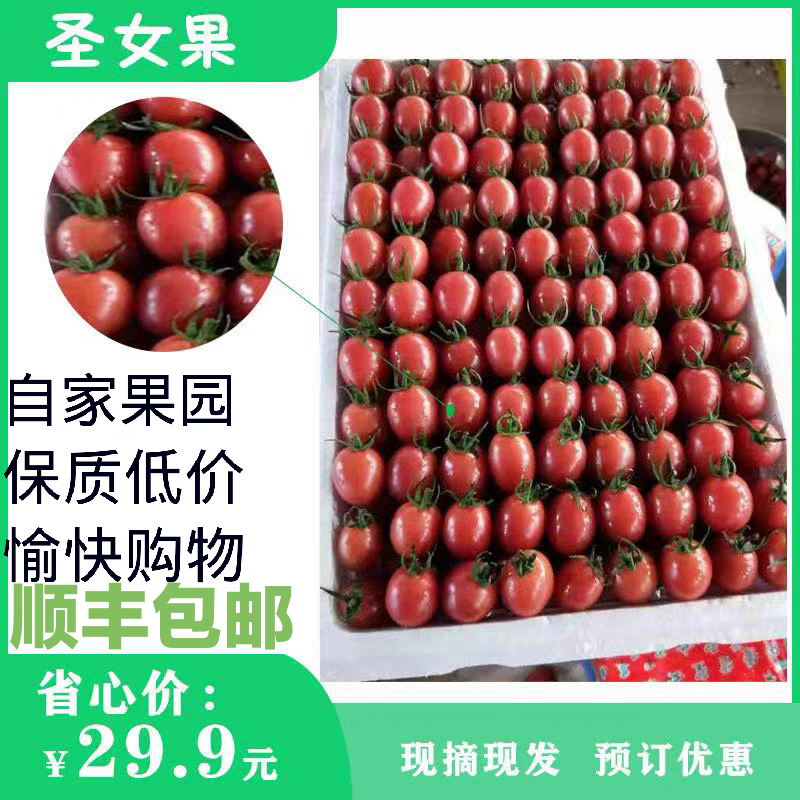 自种自卖广西粉色圣女果新鲜孕妇水果小番茄10斤装自然熟皮薄生吃,水产肉类/新鲜蔬果/熟食,番茄,淘宝优惠券,粉丝福利购,淘宝优惠卷