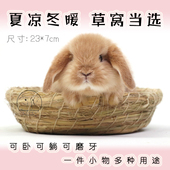 兔子草窝手工编织龙猫小宠草垫沙发睡房冬暖夏凉耐啃咬磨牙用品
