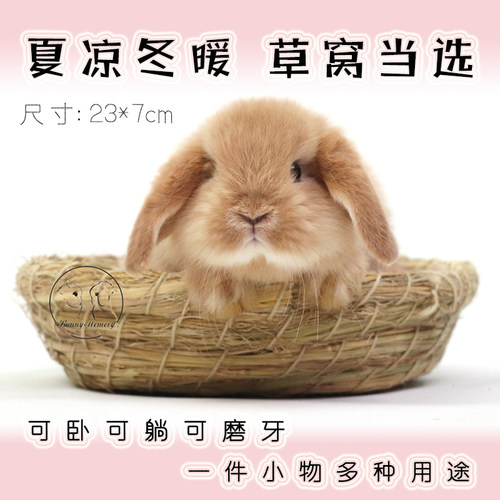 手工编织沙发冬暖夏凉耐啃咬兔子