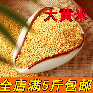 大黄米 农家黄糯米黍米黏黄米糯小米五谷杂粮包粽子 500g