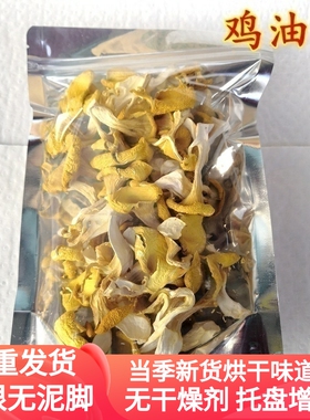 鸡油菌干货 非新鲜榆黄菌金顶侧耳黄金菇100克云南山珍云南菌子