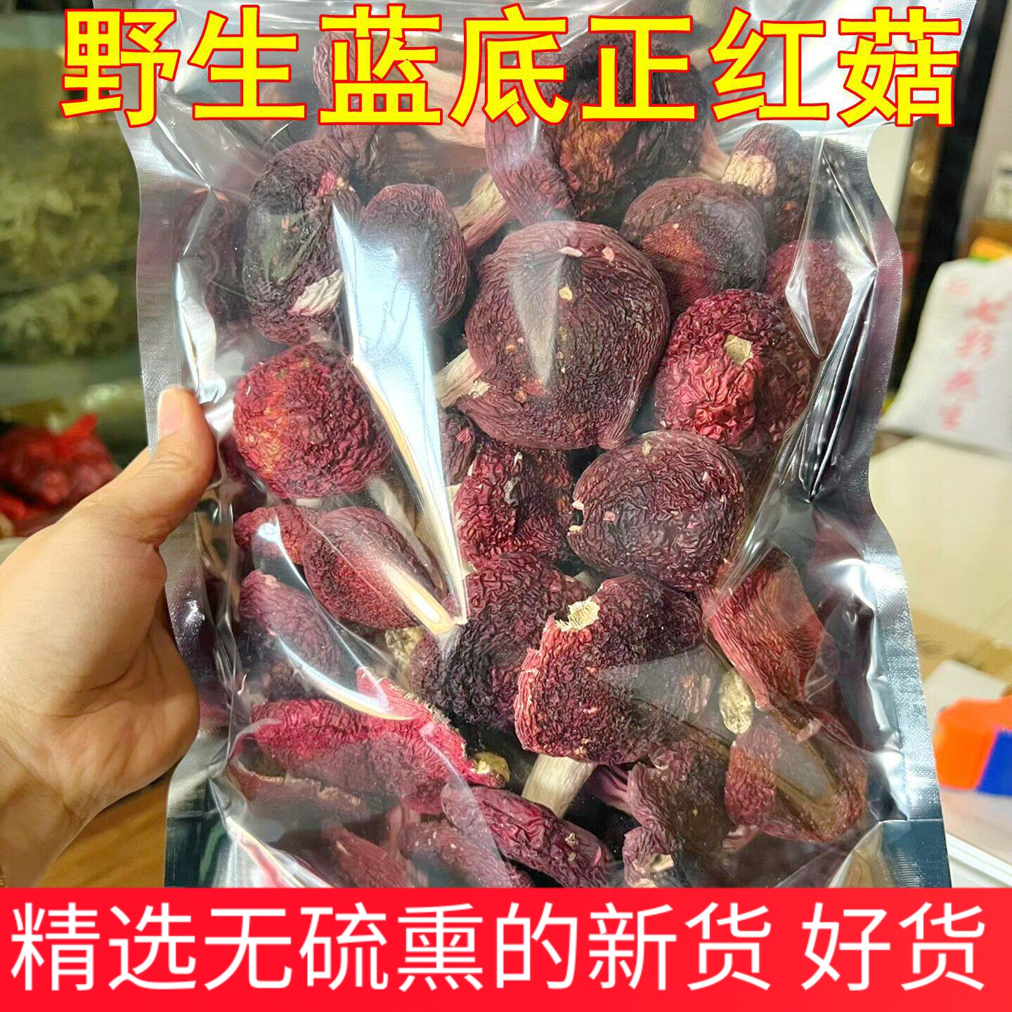 野生蓝底正红菇新货 云南山珍食材土特产煲汤正品保障味道鲜美