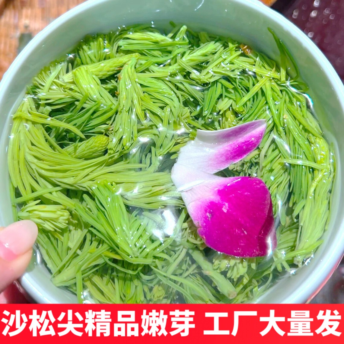 沙松尖精品嫩芽口感脆嫩适合凉拌凉菜云南野菜山珍蔬菜素食时令