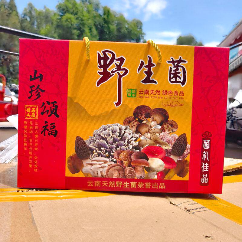 送礼土特产山珍大礼包菌菇礼盒羊肚菌野生菌干货菌汤包云南蘑菇