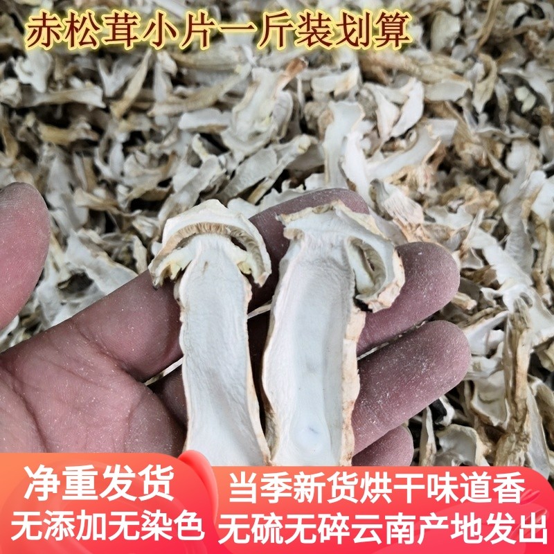 雪山松茸干片 采购大量价格更优惠云南特产菌类都有500克一斤装