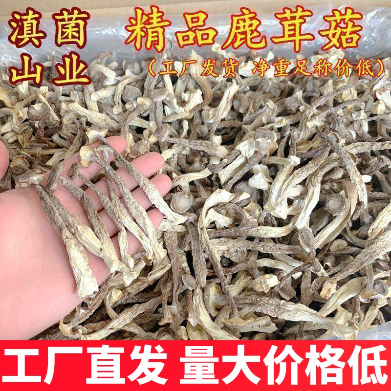 新鲜鹿茸菇干货 云南特产菌子山珍250克鹿茸菌云南特产包装蘑菇