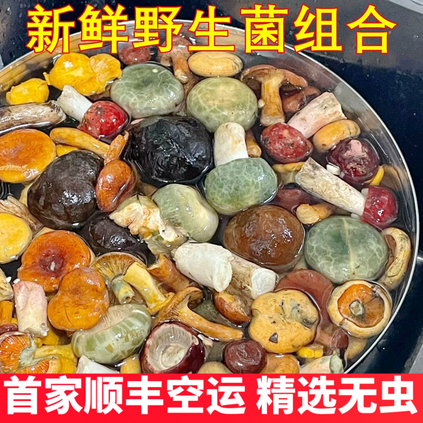 云南新鲜野生菌杂菌组合有松茸牛肝菌鸡枞黑松露见手青羊肚菌蘑菇