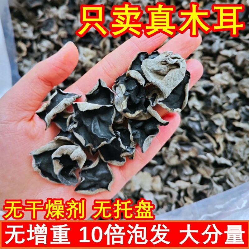 黑木耳干货新货250克非野生特产级小木耳云南冬耳整朵可食无根