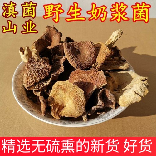 0奶浆菌滋味鲜美正品野生香菇