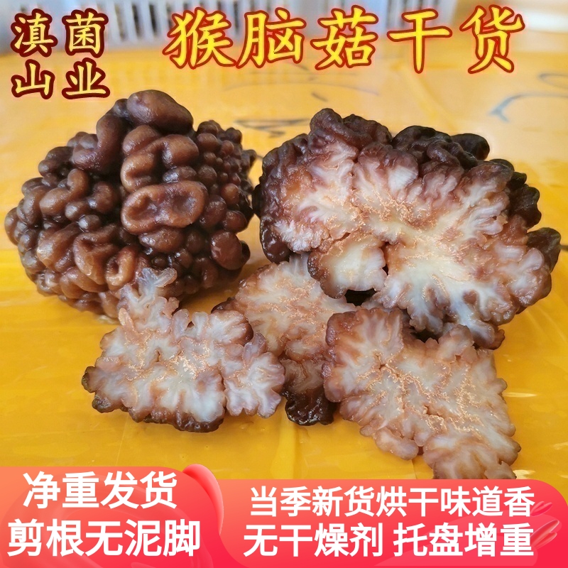 猴脑菌干货未开精品玛卡菌云南省山珍黑松菌海参菇菌核桃云南菌子