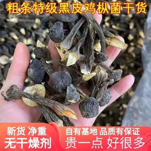 新鲜黑皮鸡枞菌干货香菇山珍特产味道鲜蘑菇香菇美食用云南菌子