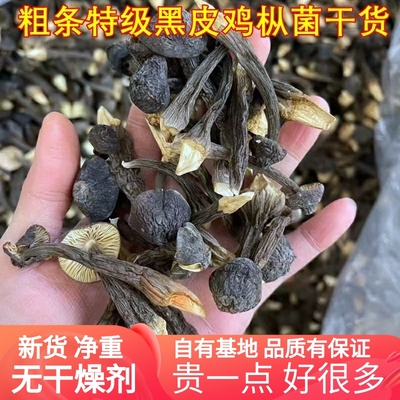新鲜黑皮鸡枞菌干货山珍云南菌子