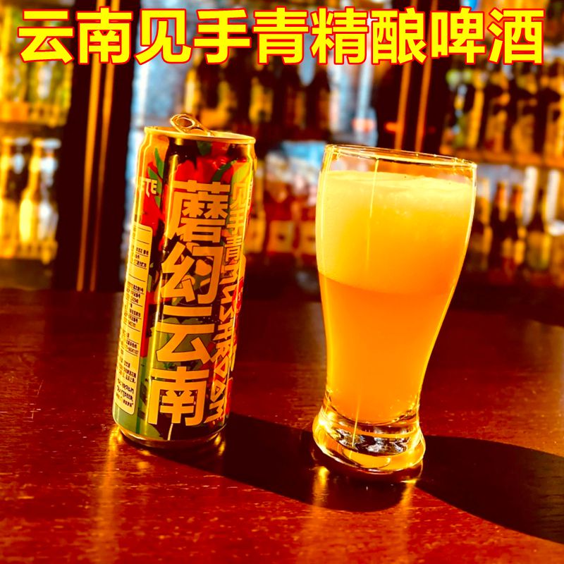 见手青精酿啤酒云南野生菌蘑菇风味啤酒云南特产山珍魔幻见手青
