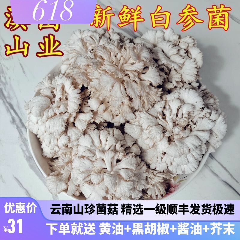 白参菌新鲜 云南特产山珍当季新品雪莲花菌菇新鲜蔬菜空运包邮