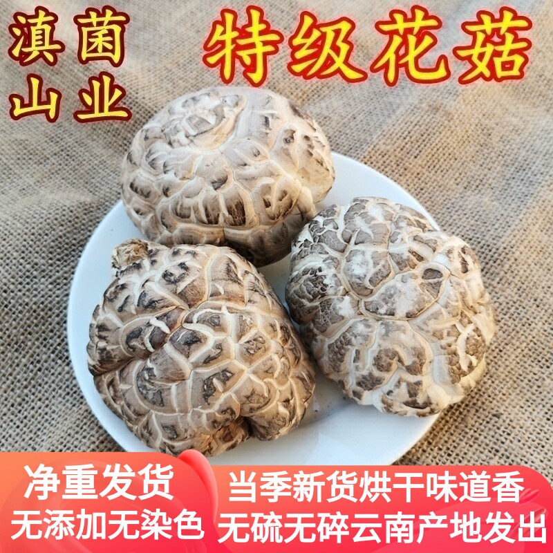 花菇干货 精选5厘米以上大朵云南特产100克装口感好香菇椴木