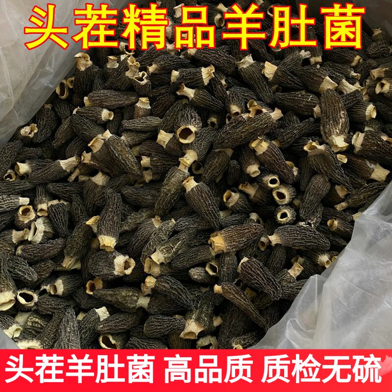云南羊肚菌干货 大个精选头茬山珍蘑菇特产正品保障羊肚蘑味道好