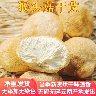 猴头菇干货 云南山珍特级精品猴头菇500克可打粉养胃煲汤食材家用