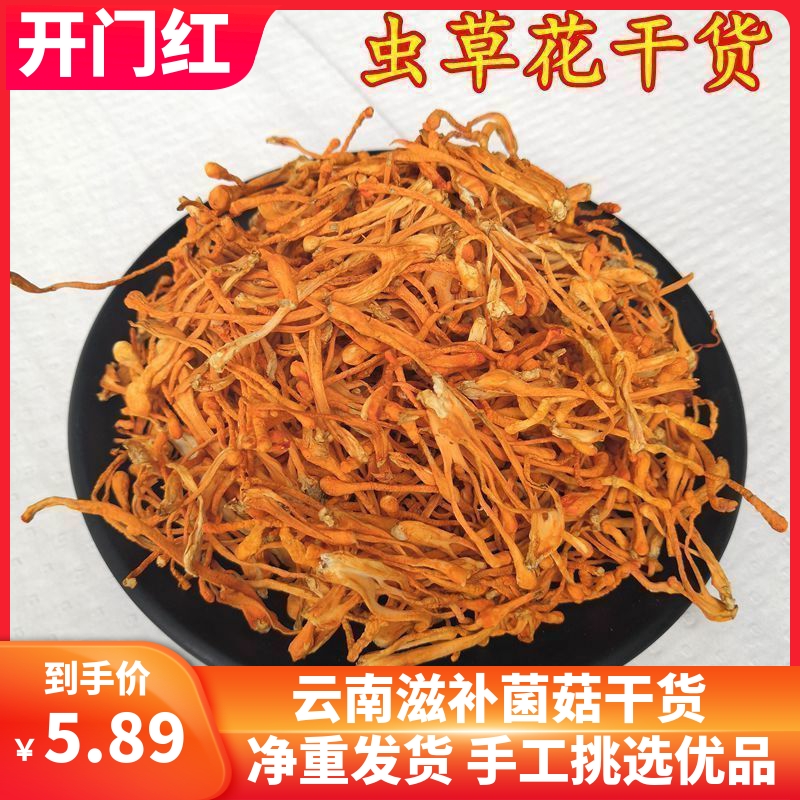 虫草花干货 煲汤材料虫草菇金虫草北虫草100克非新鲜包邮正品保障