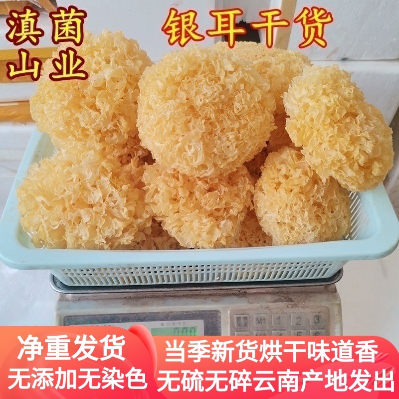 银耳古田特产500克白木耳古田