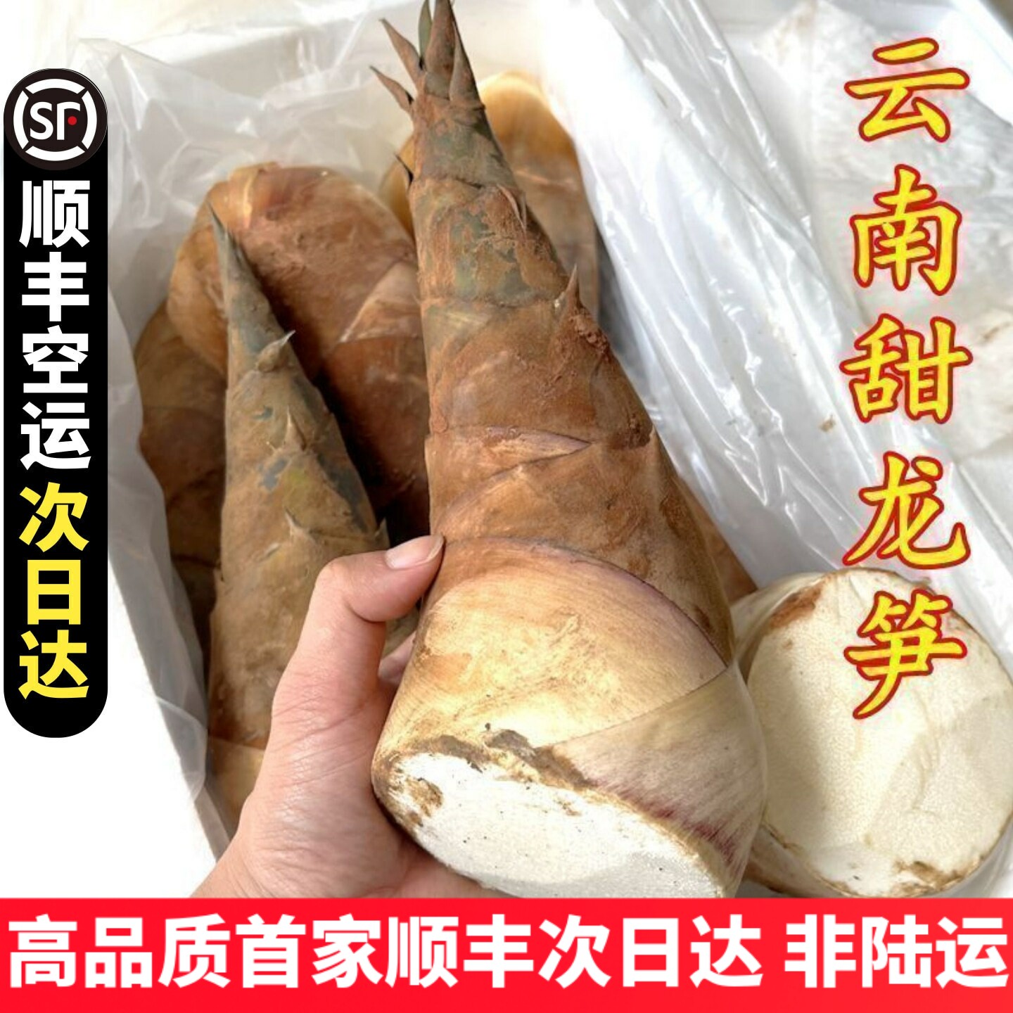甜笋龙笋新鲜云南新鲜蔬菜 可生吃水果竹笋鲜嫩春笋现挖野菜