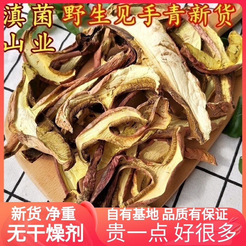 野生见手青红葱黄牛肝菌干货精选无碎云南特产云南菌子山珍特产