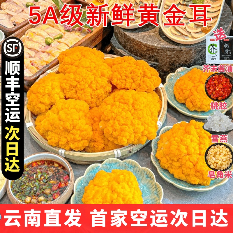 新鲜金耳菌 顺丰空运发货云南特产精选刺身山珍胶原蛋白银耳生鲜